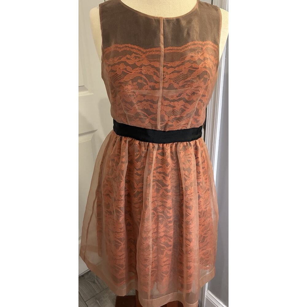 Lilly Wang For Lilly’s Closet Anthropology Frattina Lace Mesh Organza Dress 8